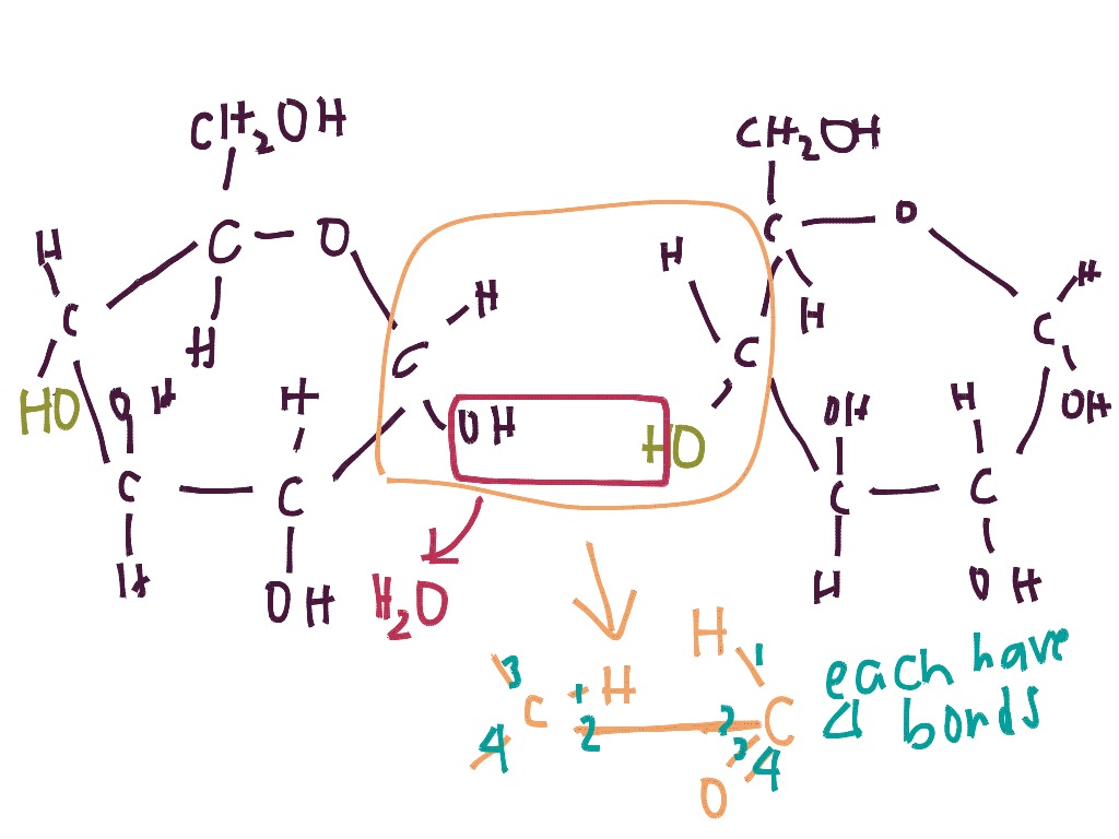 Topic - chemical bonds | ShowMe Online Learning