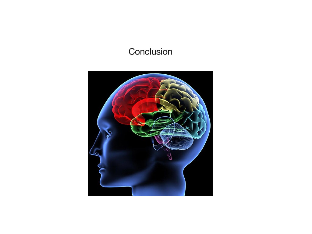 Исследование головного мозга. OCD Brain. Мозг и поведение колб. OCD Neurobiology. 11 ощущается
