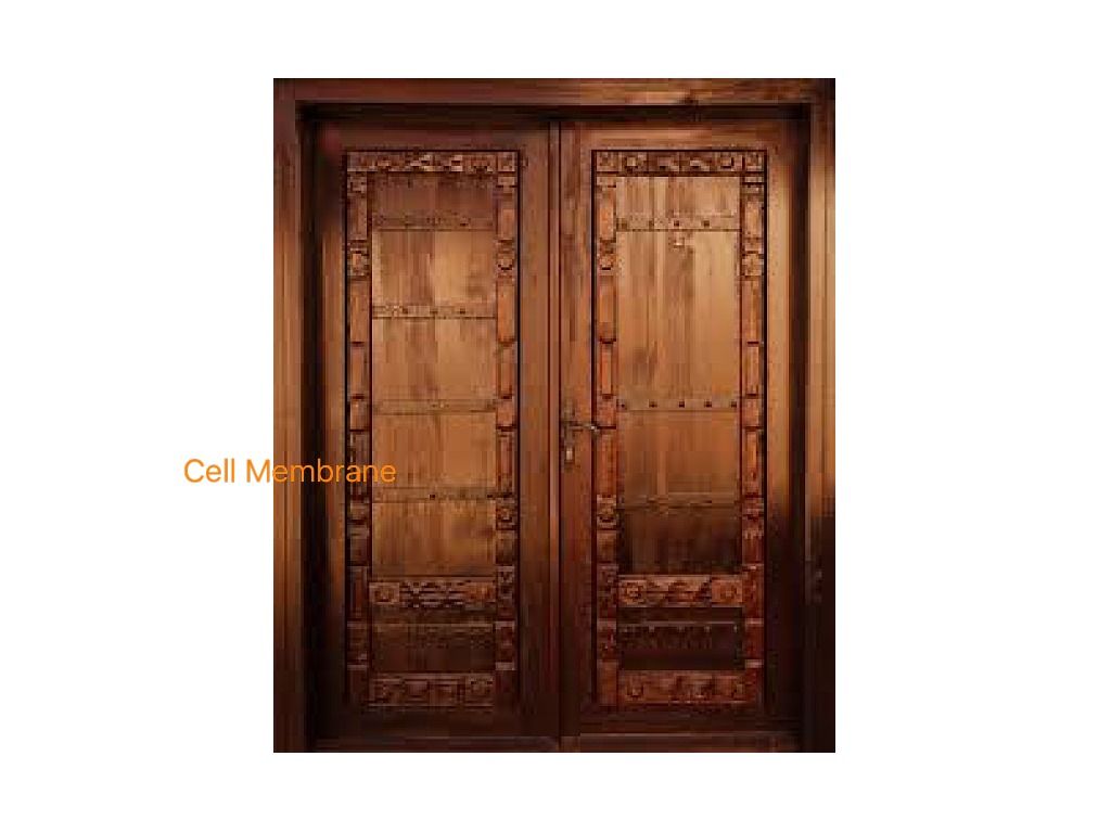 Витринная дверь. Текстура деревянной двери. Витринные двери. Текстура двери деревянные Восточный. Витринный двери из дерева.