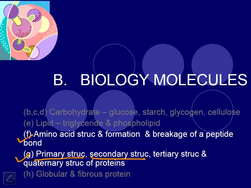 2-6 Protein 2 - Primary Secondary Structure | Science, Biology, Organic ...