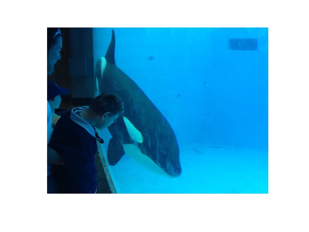most-viewed-thumbnail