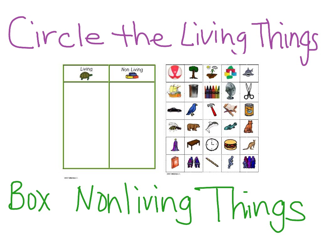 most-viewed-thumbnail