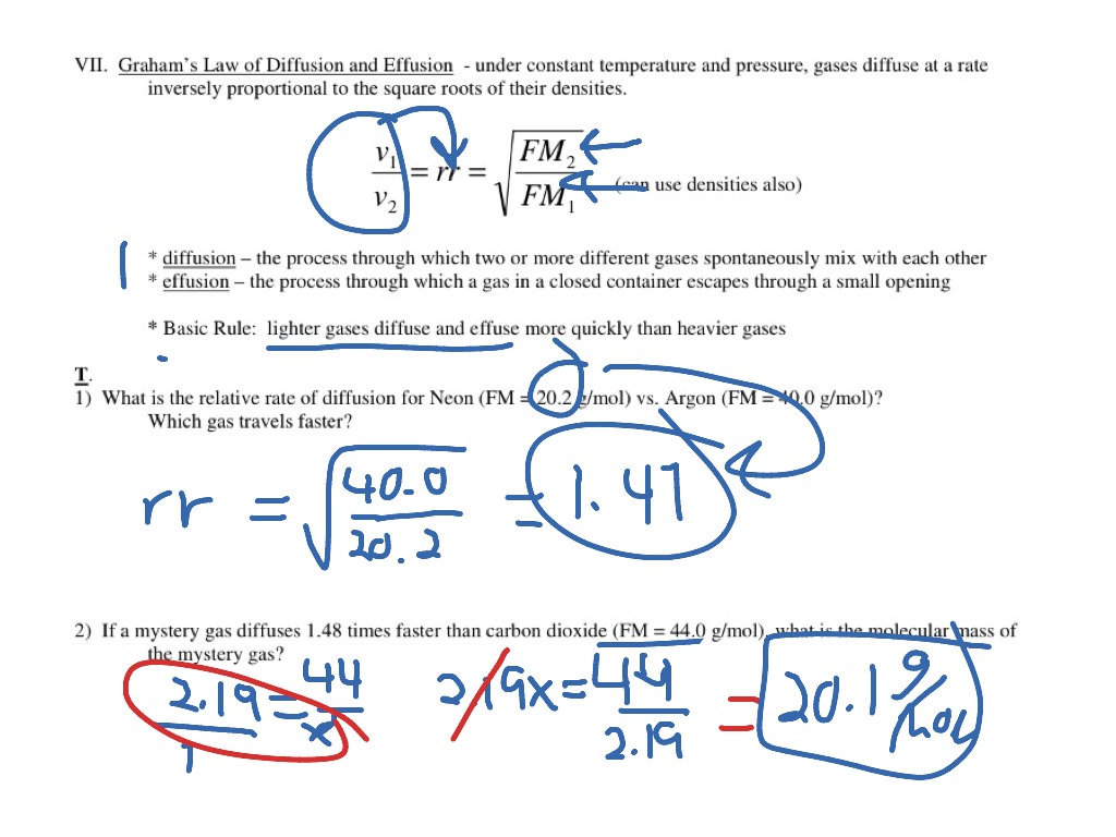 Graham s Law Worksheet Answers Free Printable Worksheets