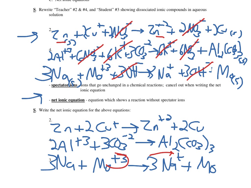 ShowMe Net Ionic Equation