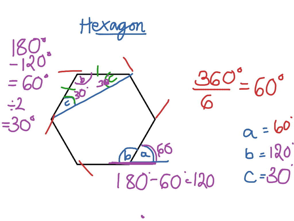 Angles in a regular polygon | Math | ShowMe