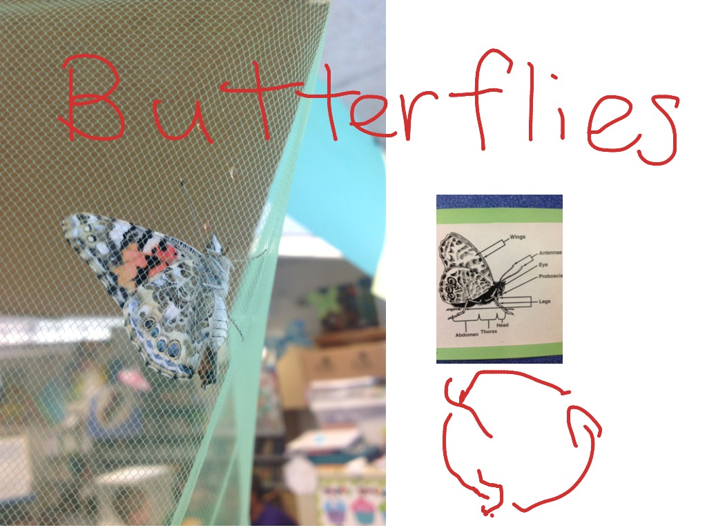most-viewed-thumbnail