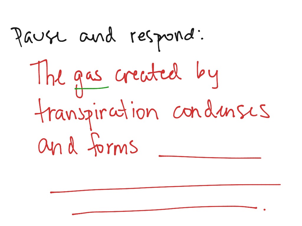 most-viewed-thumbnail