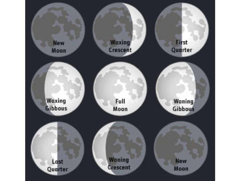 Moon Phases | Science | ShowMe