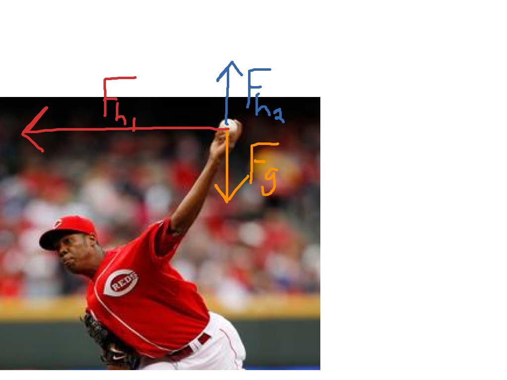 Solved The pitcher is about to throw the ball. Draw the FBD