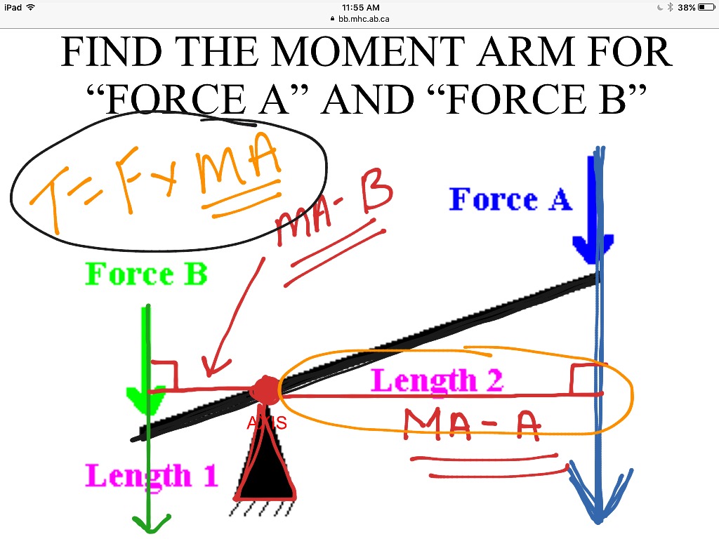 what-is-moment-frame-types-of-moment-frames