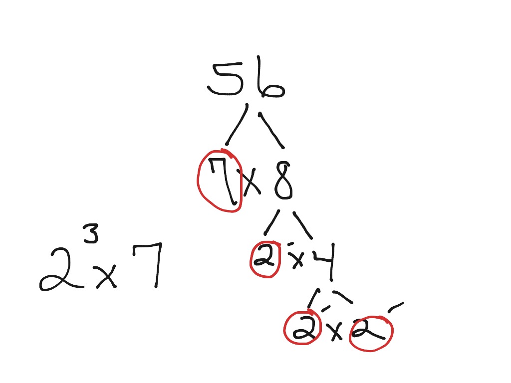 Factor trees | Math | ShowMe