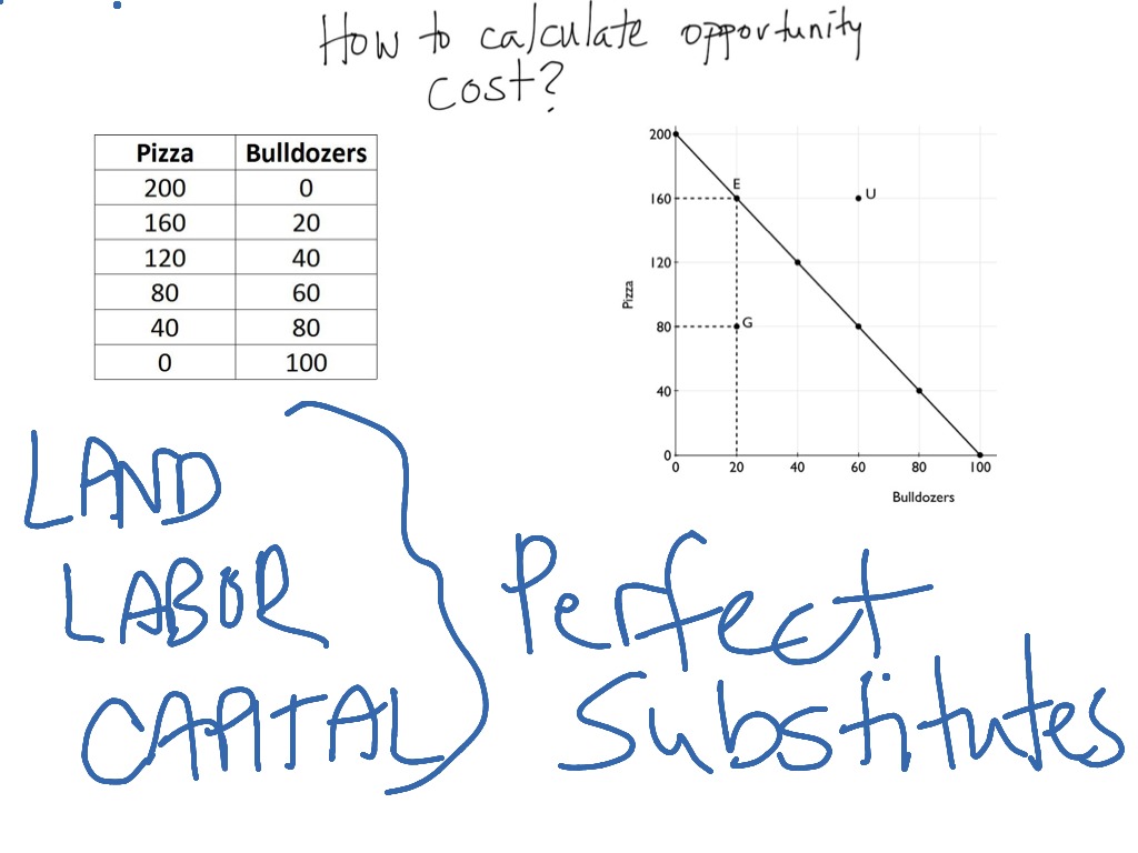 G Economics ShowMe