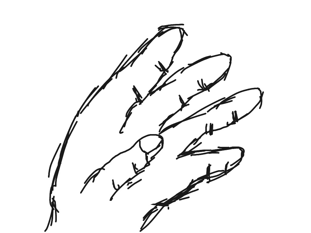 ShowMe - drawing a hand