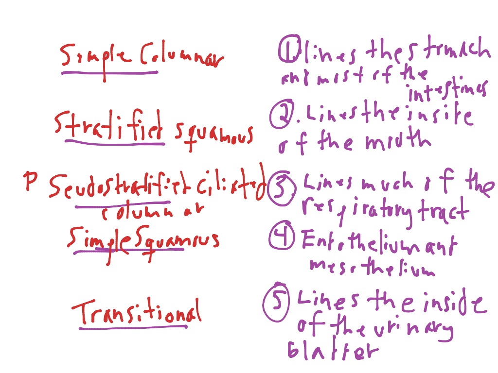 most-viewed-thumbnail