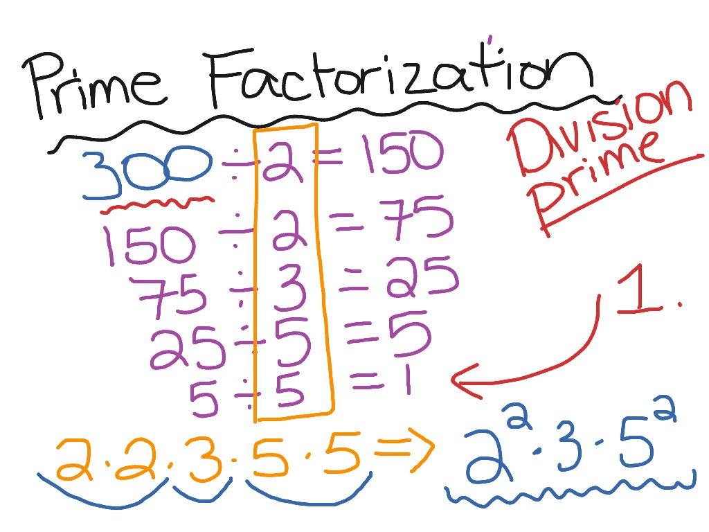 prime-factorization-division-method-math-showme