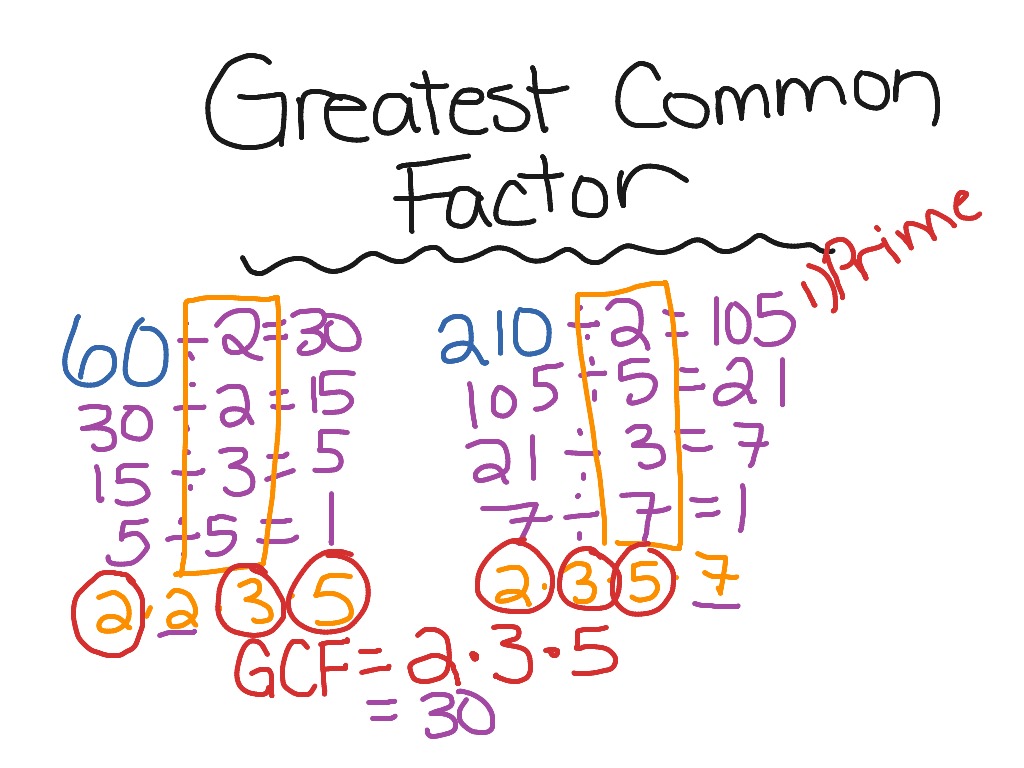 Greatest common factor | Math, greatest common factor, Middle School ...