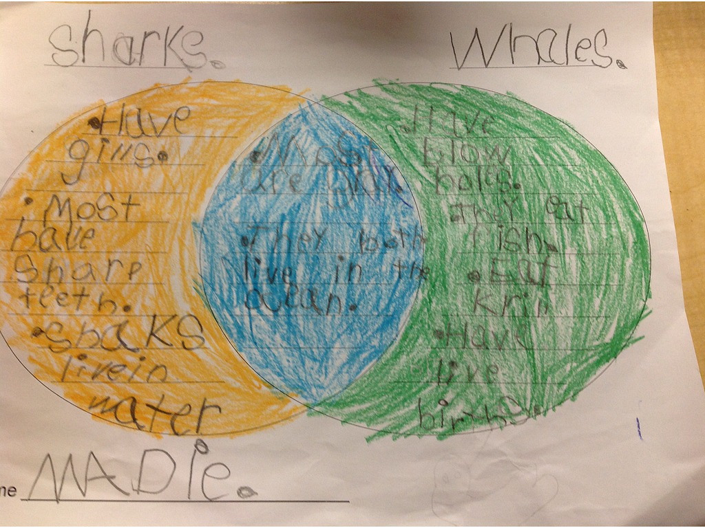 most-viewed-thumbnail