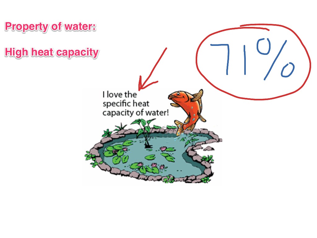 Properties Of Water High Heat Capacity Science ShowMe