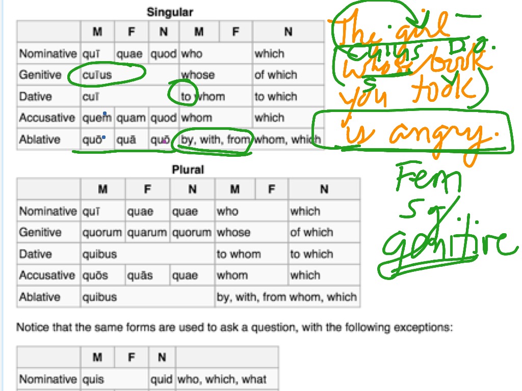 Latin Relative Pronouns Chart