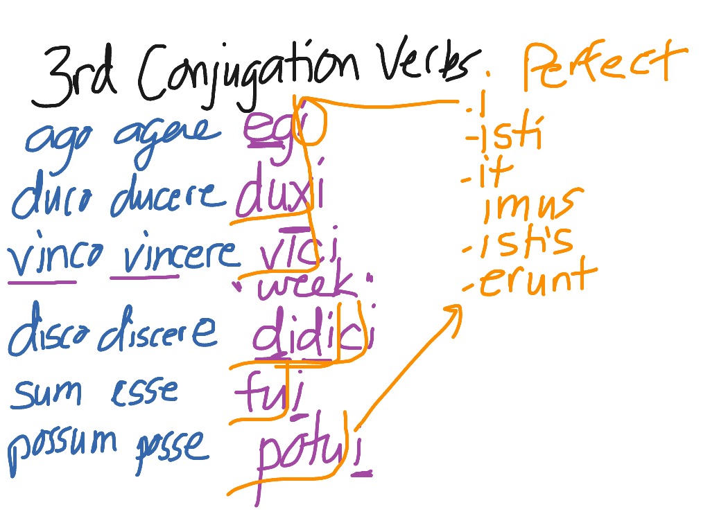 3rdconj-verbs-present-imperfect-future-perfect-latin-grammar-showme