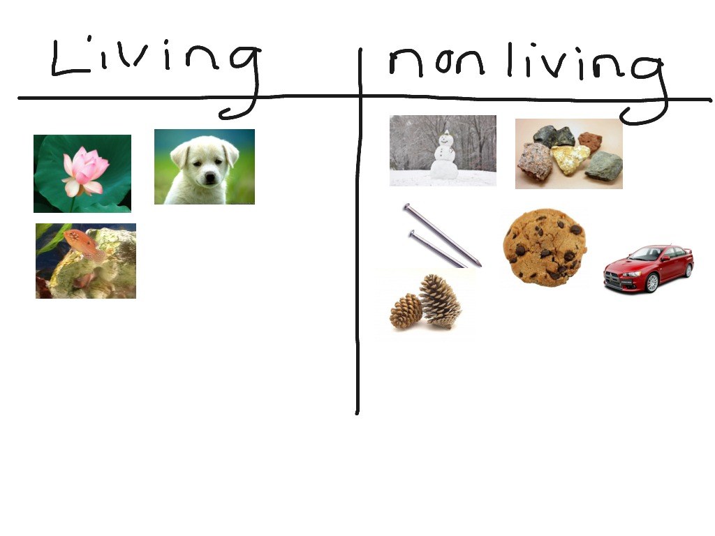 living-vs-nonliving-2-science-showme