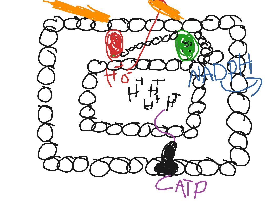 most-viewed-thumbnail