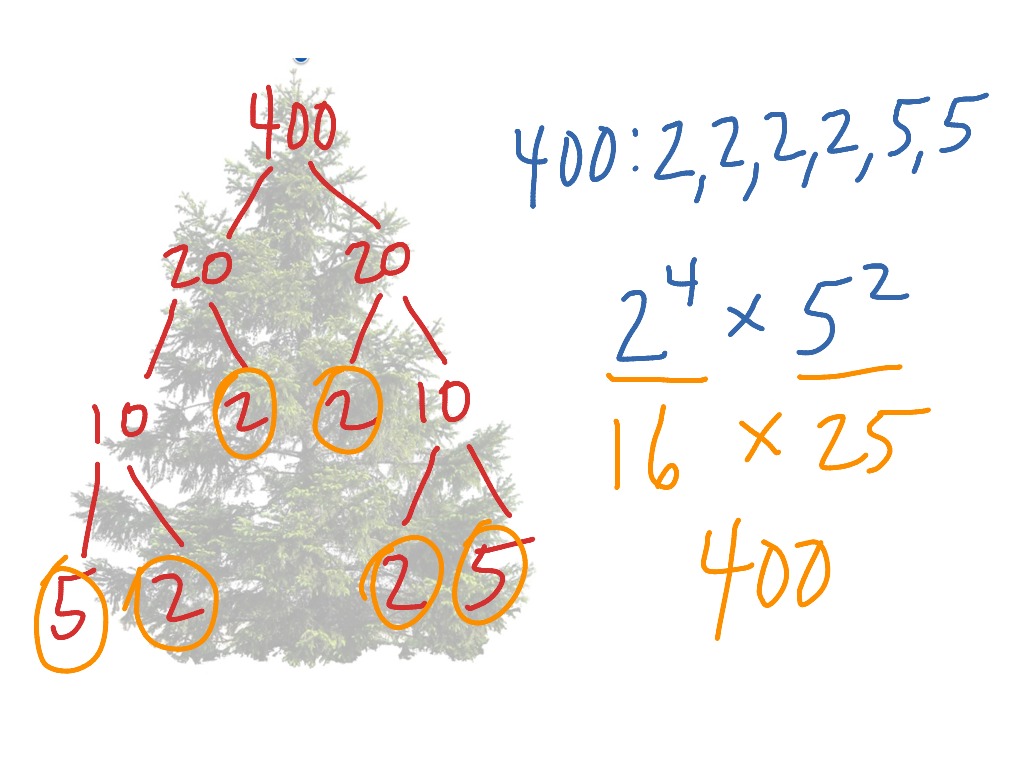 worksheet Factor Tree showme factor tree for 81 most viewed thumbnail