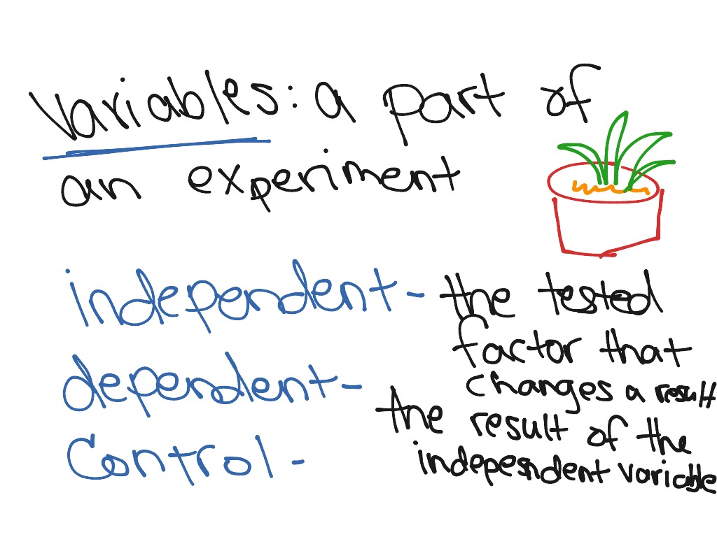 Chapter1, Section 3 Part II (2nd Period) | Science, Biology | ShowMe