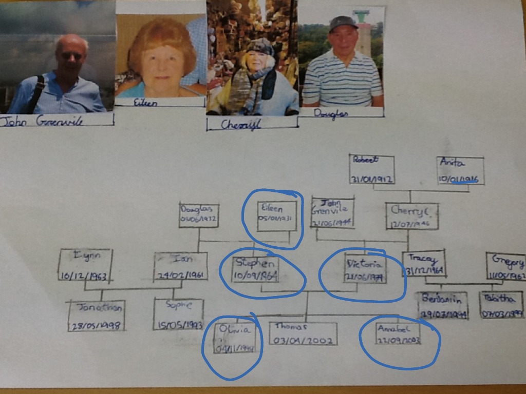 french-family-tree-language-showme