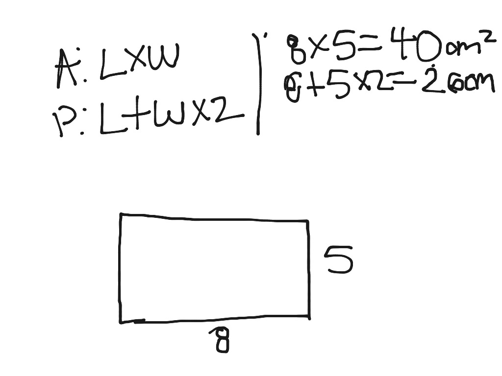 Finding area perimeter of 8cm by 5cm | Math | ShowMe