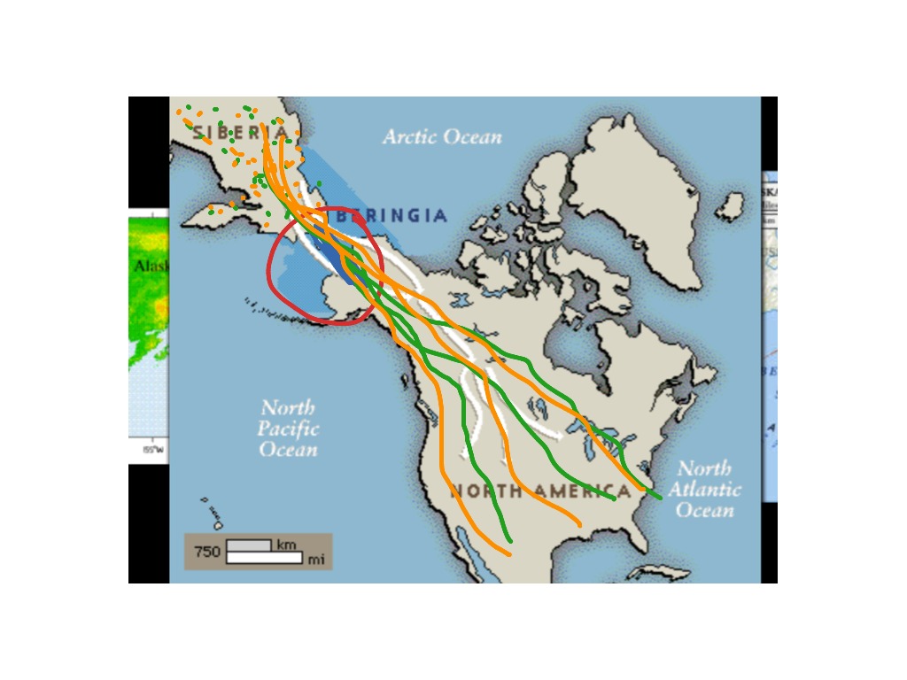 Land bridge theory History ShowMe