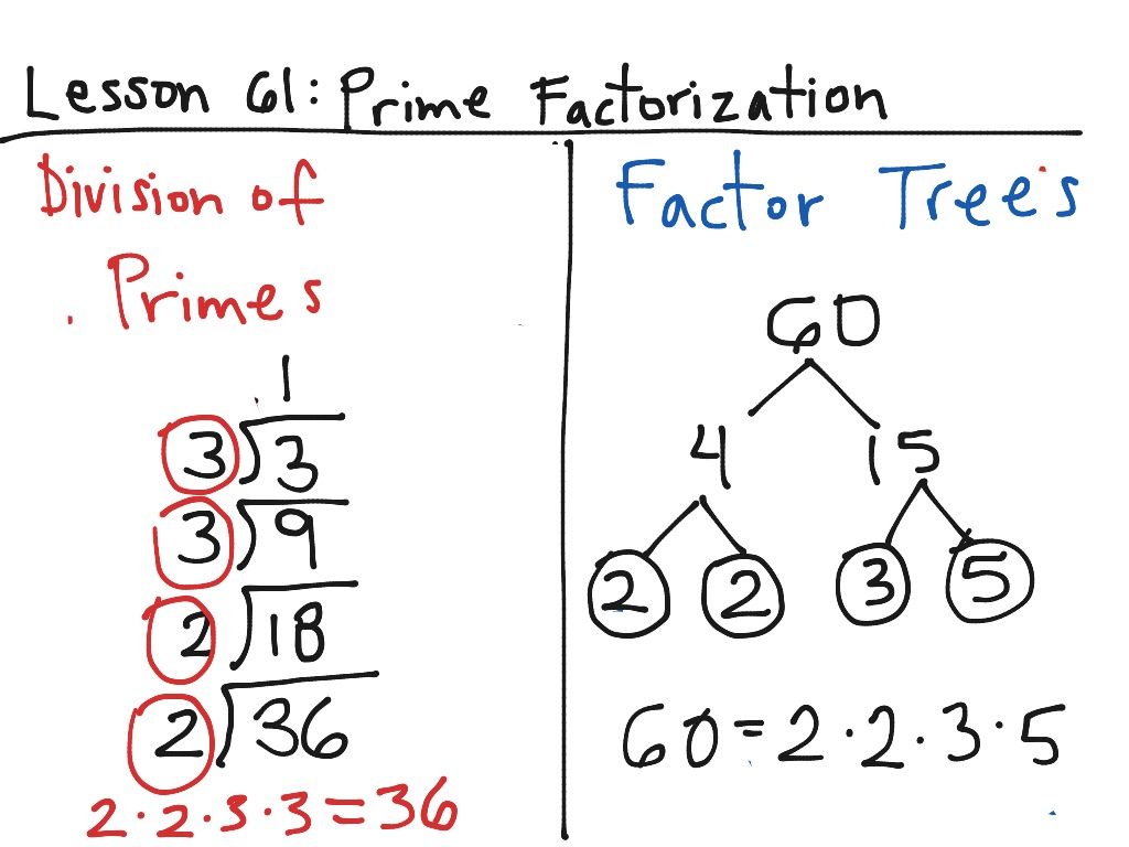 lesson-61-prime-factorization-math-showme