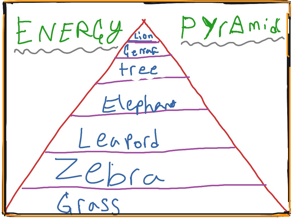 Energy Pyramid Science ShowMe