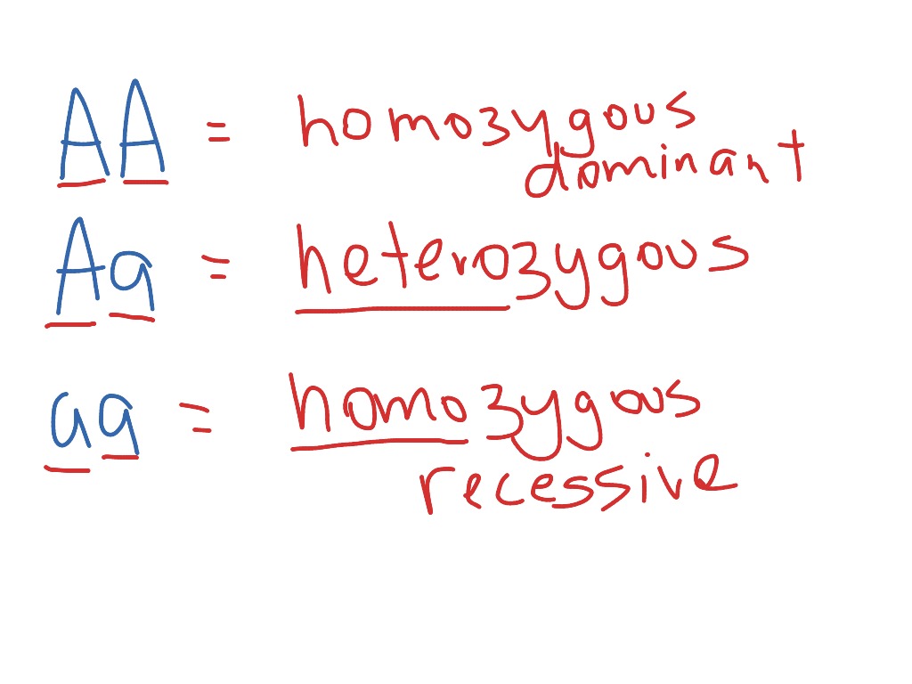 Heterozygous/homozygous | Science, Genetics | ShowMe