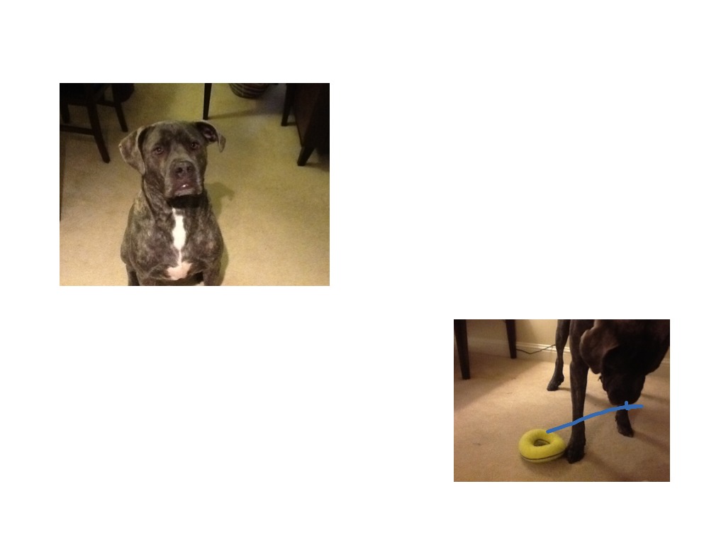 most-viewed-thumbnail