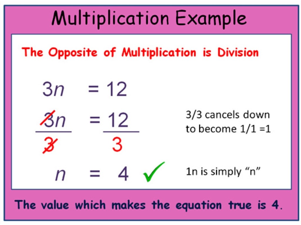 Solving One Step Equations Multiplication And Division Worksheet Answer Key