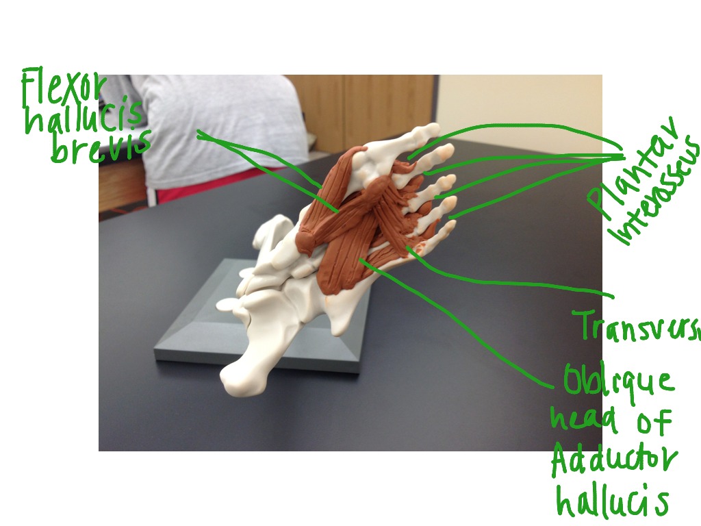 most-viewed-thumbnail