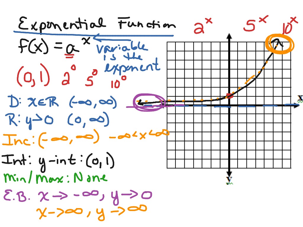 Function Intro - Exponential | Math | ShowMe