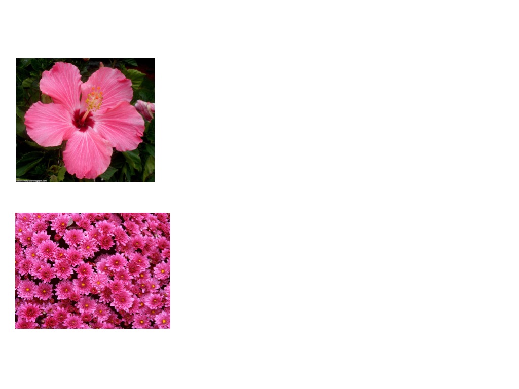 most-viewed-thumbnail
