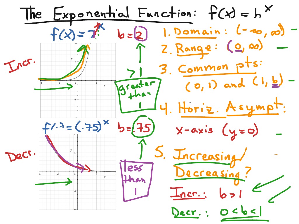 Introduction to Exponential Functions | Math, Algebra | ShowMe