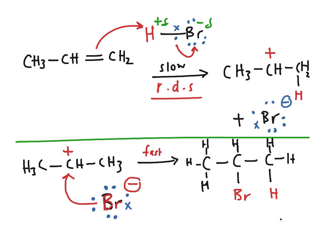mechanism-of-the-electrophilic-addition-reaction-as-a2-chemistry-science-showme