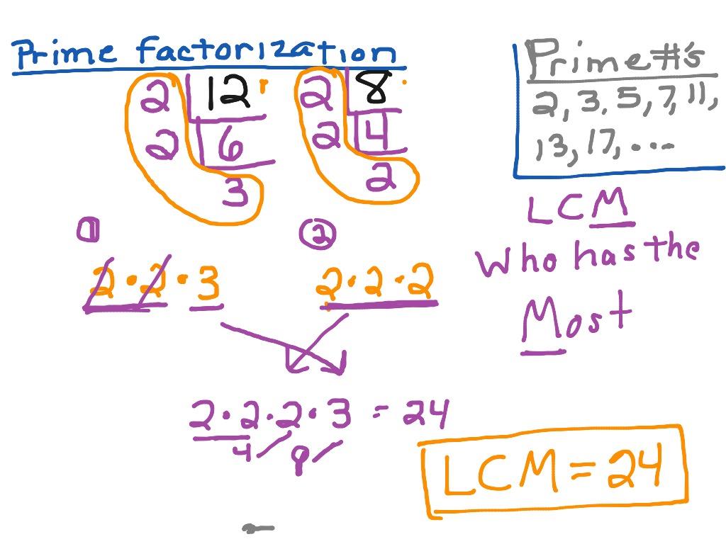 How To Find The Lcm - Haiper