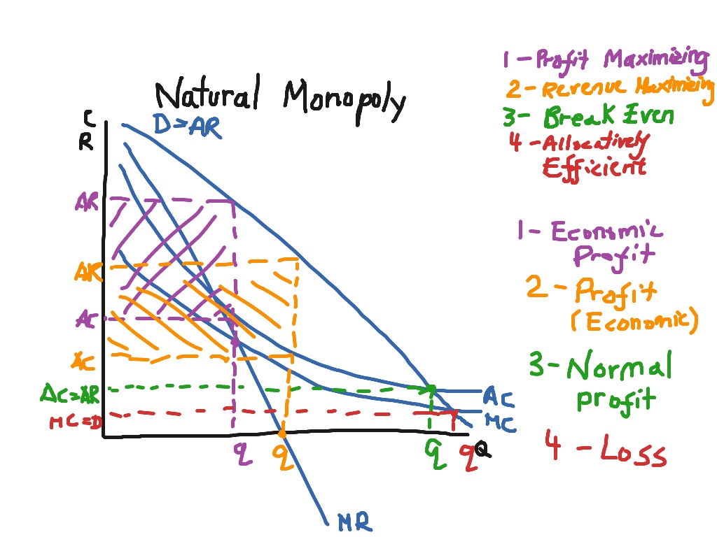 government monopoly economics definition