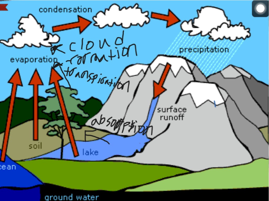 The water cycle by Isaac Maze Ryan Parraghi | Science, Social Studies ...