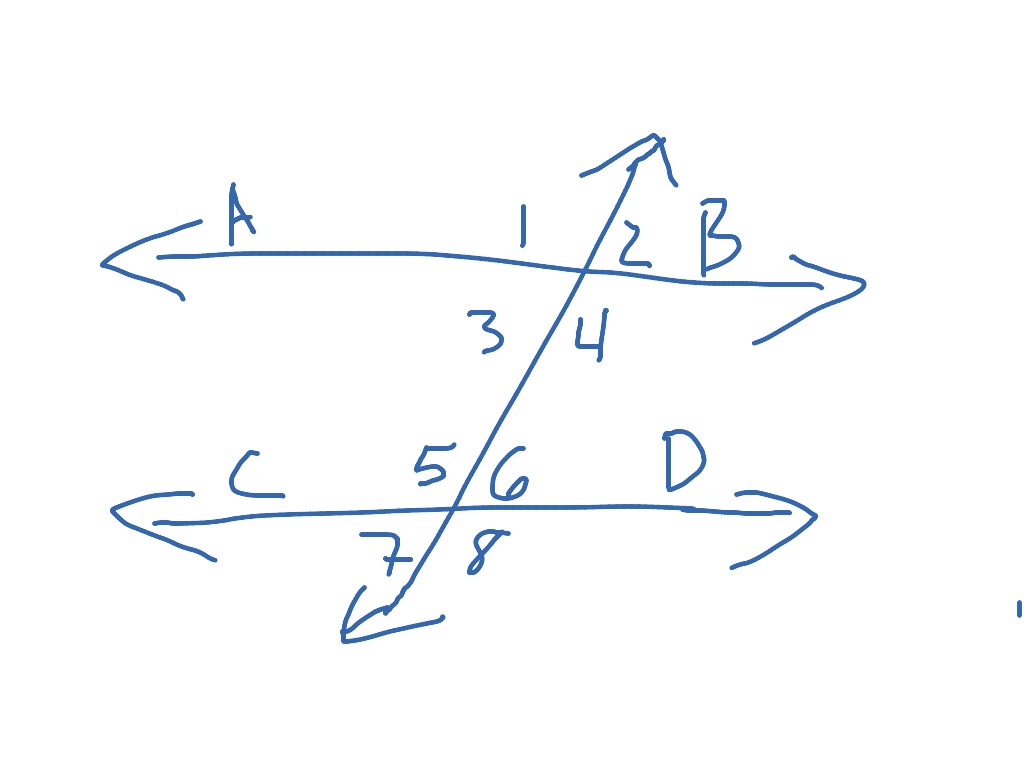 Angles Of Parallel Lines Math Showme 0466