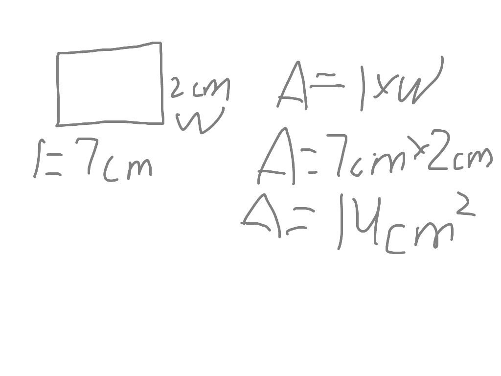 find the area of a rectangle find the area of a rectangle