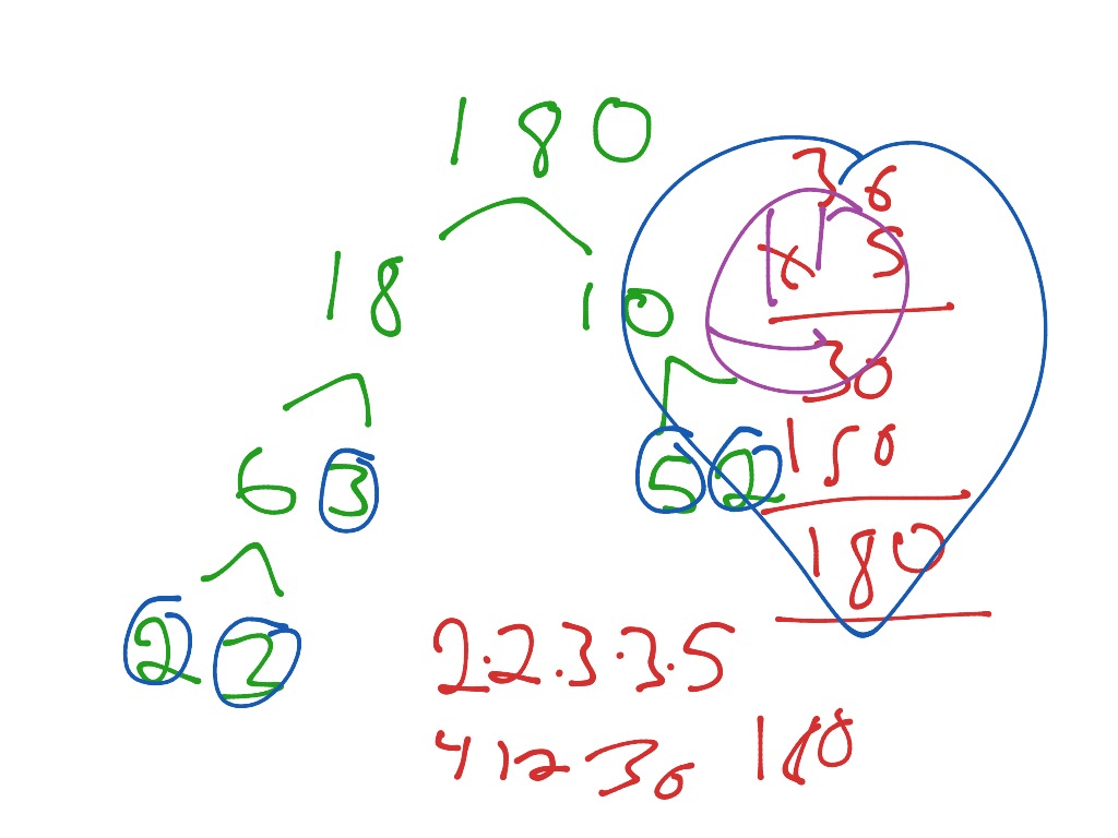 Zoe Landau's factor tree for 180 Math, Elementary Math