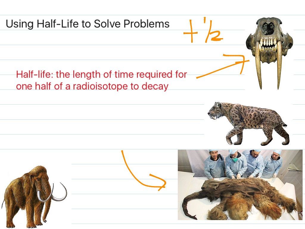 half-life-problems-science-chemistry-showme