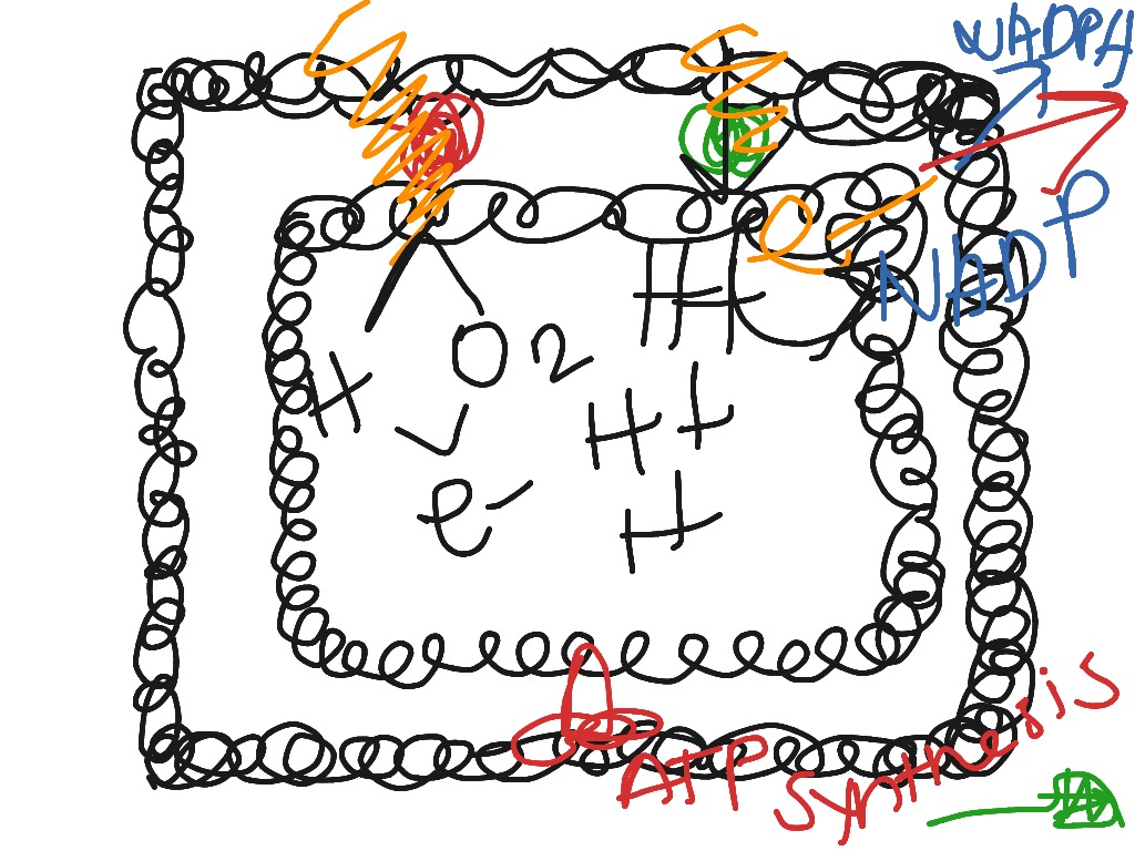 most-viewed-thumbnail