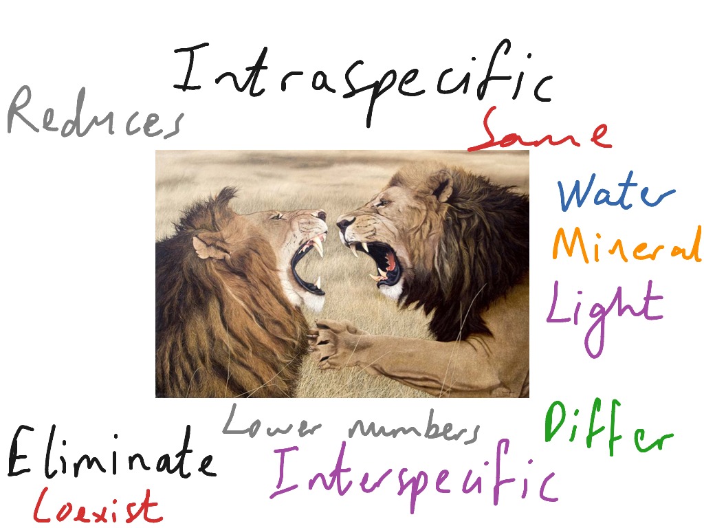 intraspecific-competition-and-interspecific-competition-science